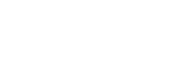 our amazing partners - Iconic London